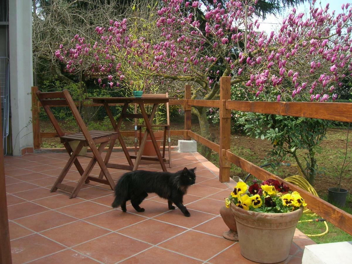 Olive Tree Hill Acomodação com café da manhã Zagarolo Exterior foto